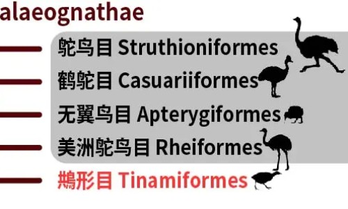 吃太多吐了之后身上疼网 - 为你提供吃多了吐完了为啥还一直难受、吃多了吐了