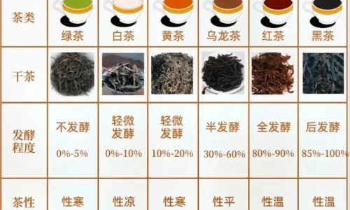 吃多吐了之后应该怎么办-吃太多吐了之后身上疼网 - 为你提供吃多了吐完了为啥还一直难受、吃多了吐了